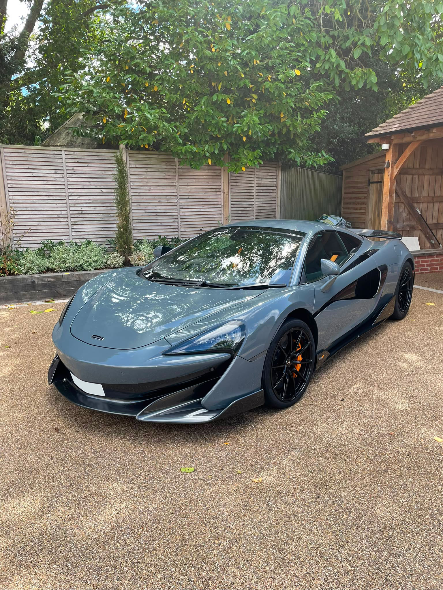 Matte Supercar Detail